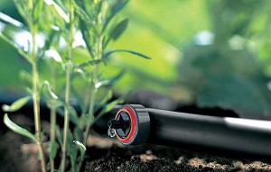 Системы полива растений